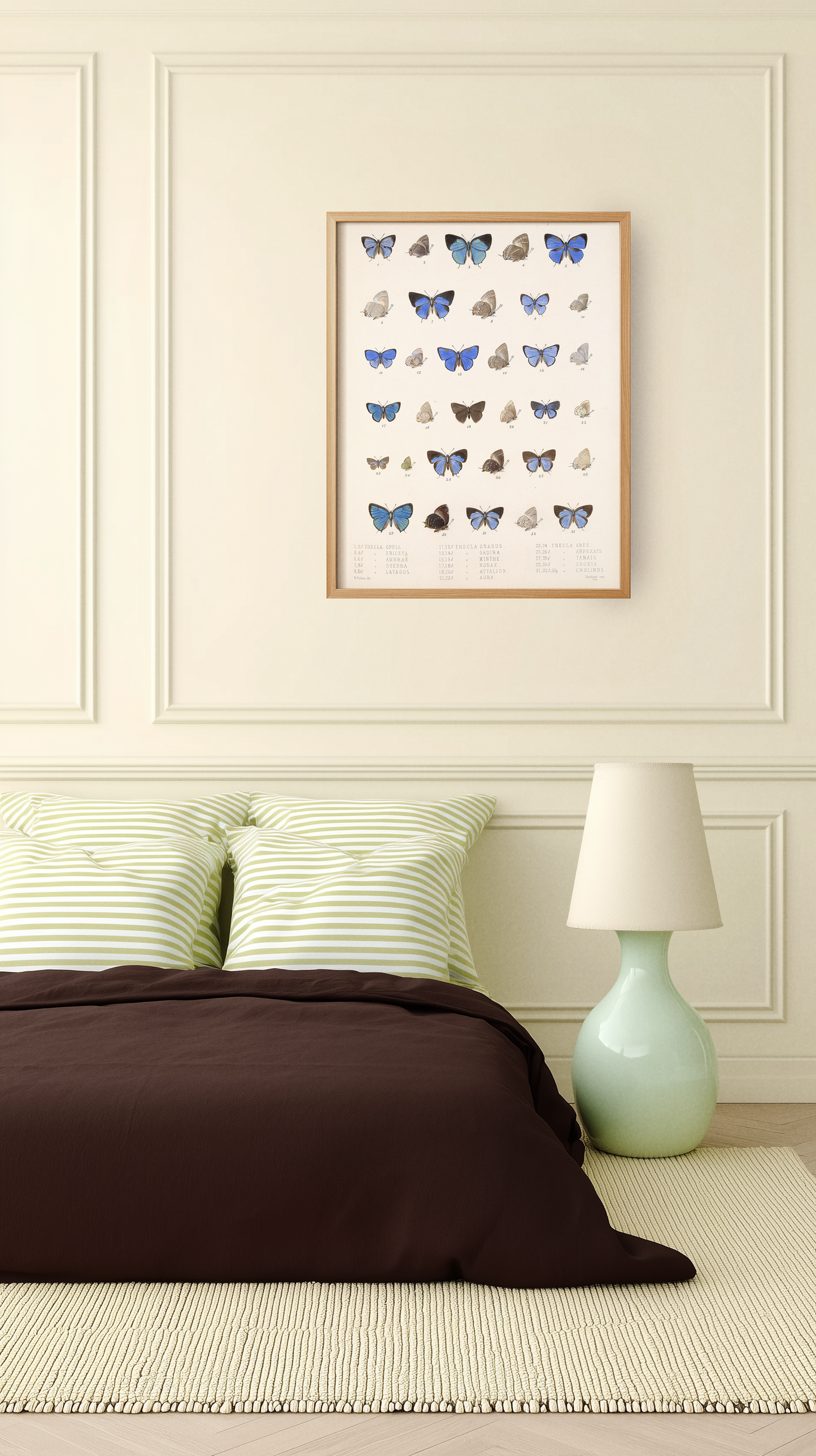 BUTTERFLY DIVERSITY