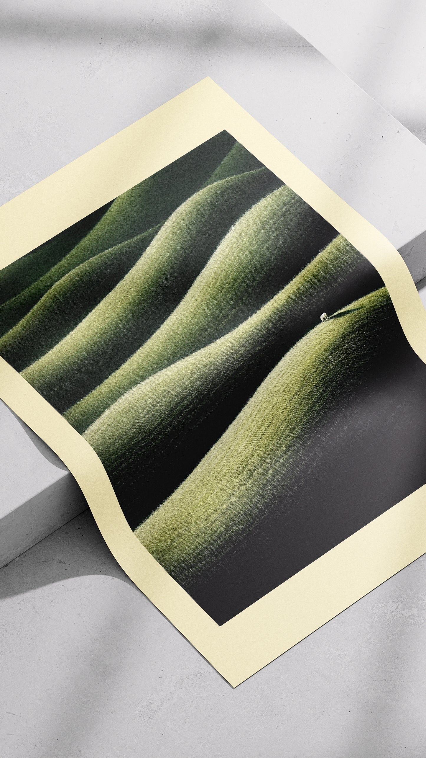 BRUSH | no.31