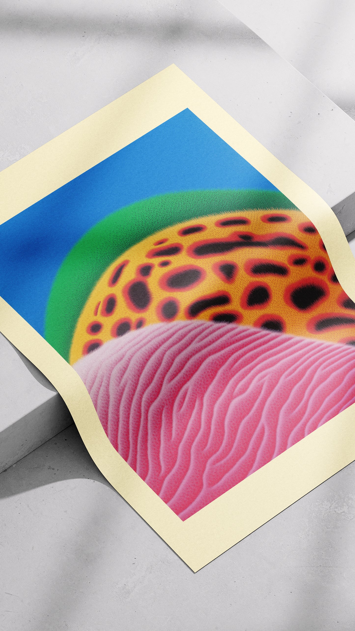 DOT | no.3