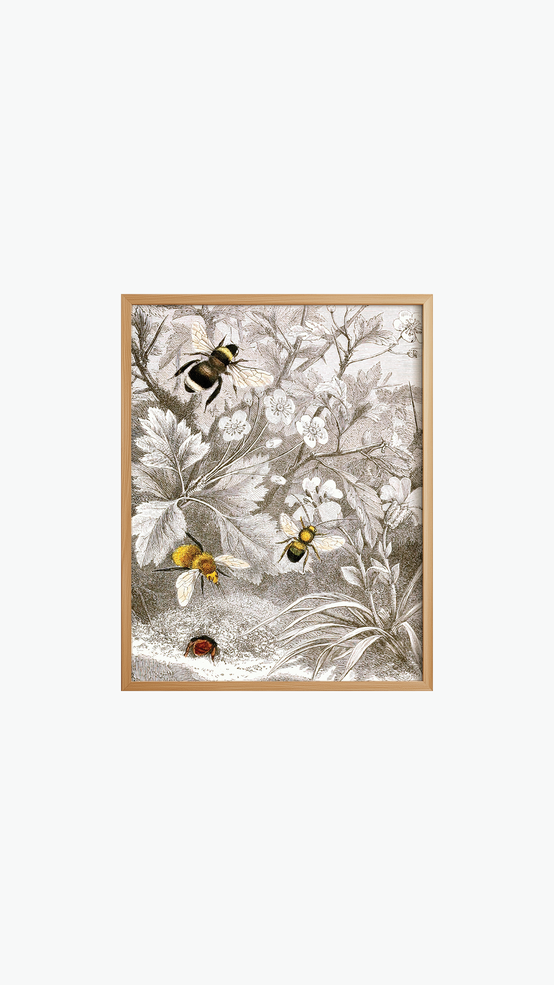DUSTED BEES