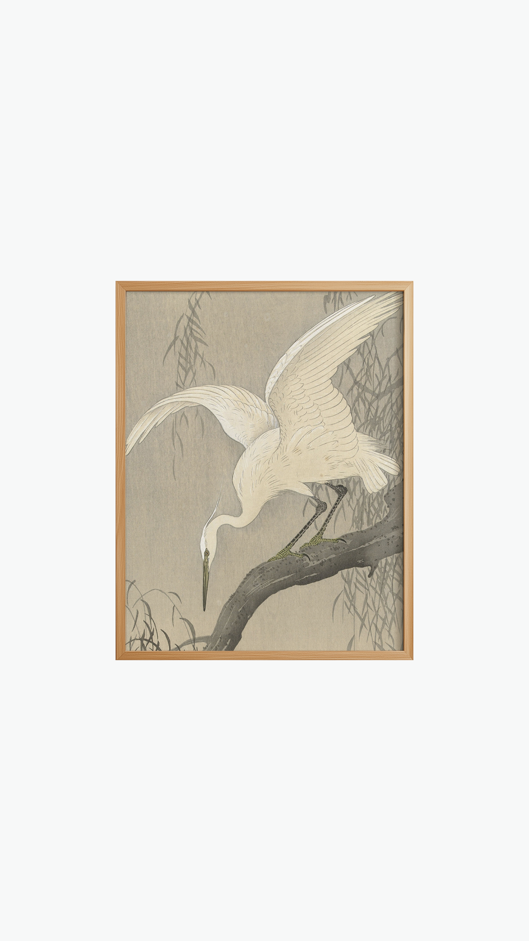 WHITE STORK and WILLOW