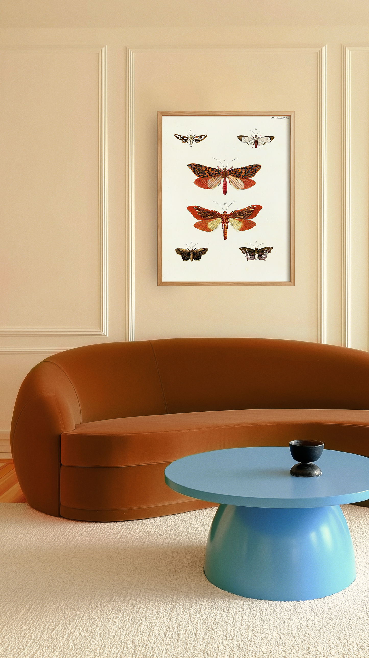 BUTTERFLY FAMILY