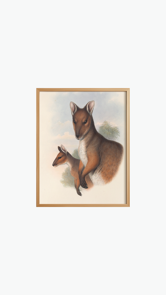ALERT KANGAROO