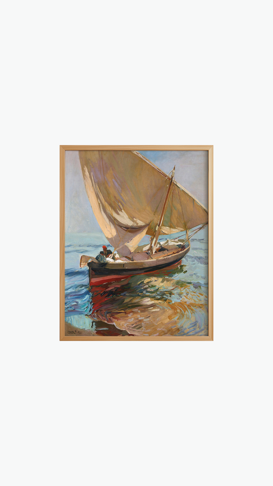 SUNLIT SAIL